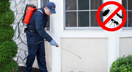 Üçyol Gümüşkurt İlaçlama böcek ilaçlama ve haşere kontrolü — ilaclama-tr.com